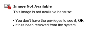 Transfer_renewal.PNG